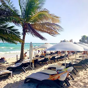 Silversands Boutique - 5th Ave 5*, Playa del Carmen México